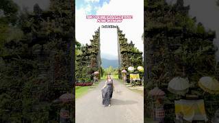 Bali Expectation vs reality😂 #funnyvideo #funnyshorts #viralsong #balitrip #travelvlog #traveltips