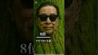 好きなジャパニーズブレインロッドランキング　TOP16