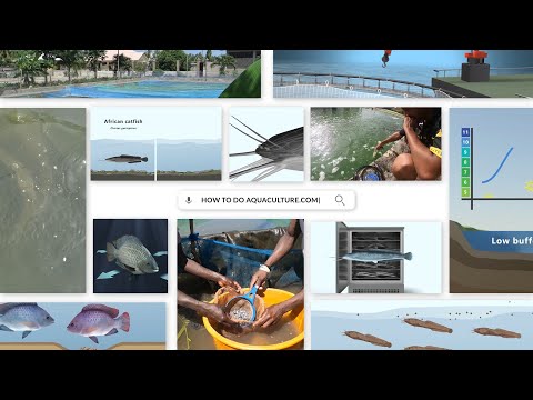 Introducing the free aquaculture learning platform Howtodoaquaculture.com