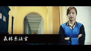 森林系法官