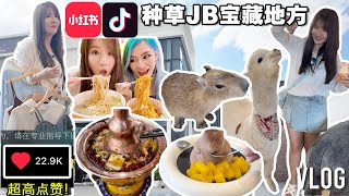 小红书/抖音点赞超高的新山地方! 挖到很多宝藏! 超好吃超好玩!「Johor Bahru Vlog」