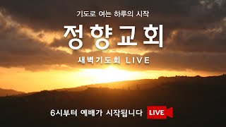 2025 0717 목 정향교회 새벽 골로새서2장 "그리스도 안에" #김희원 목사