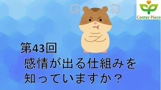 第43回 感情が出る仕組みを知っていますか？