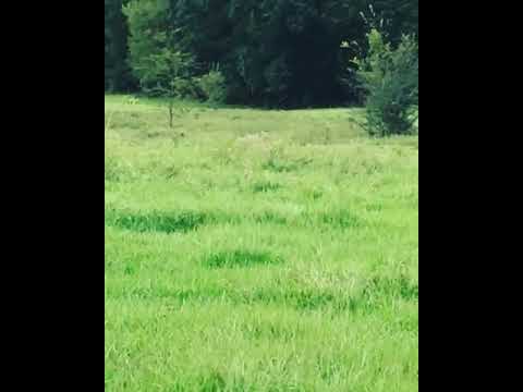 Never know what you’ll run into on a landscape job!