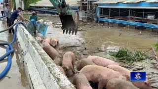 嘉義、台南豪雨成災 賴總統應變中心視察