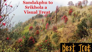 Sandakphu to Srikhola Trek II A visual Treat । NextTrek