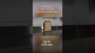 Proving that a piece of bread can give me 2.5K subs