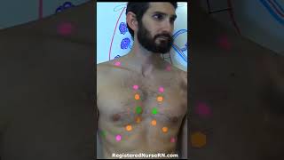 Lung Auscultation Landmarks, Points, Pattern Nursing Skills #shorts