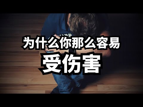 你为什么容易受伤？ | 爱丽丝与兔子洞 Alice & Rabbit Hole