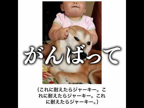 【ジャーキー】殿堂入りボケてがマジでツッコミどころ満載だったwww【1556弾】
