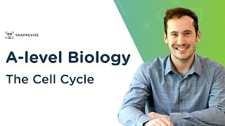 The Cell Cycle | A-level Biology | OCR, AQA, Edexcel