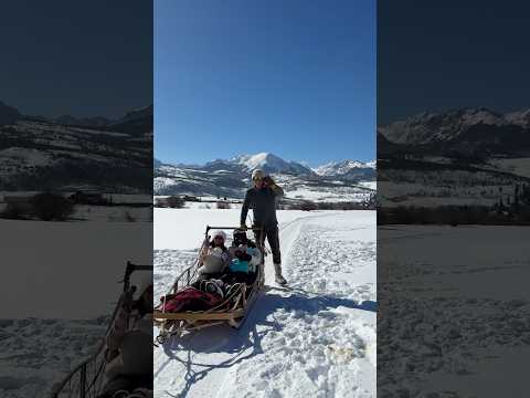 Dog sledding for the first time with our family of 4