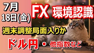 【TAKA FX】週末調整局面入りかな…　ドル円他各通貨の環境認識解説。各種指数、GOLDなど　7月18日(金)
