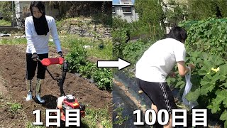 What if you actually tried growing summer vegetables?