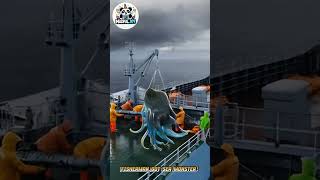 A Fisherman Got Sea Monster! Giant Creature Emerges from the Deep #6 #amazing #movie