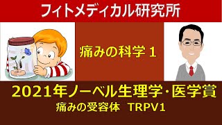 痛みの科学１：2021年ノーベル生理学・医学賞は痛みの受容体TRPV1