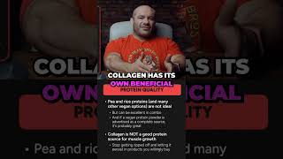 The Truth About Collagen Protein for Muscle Growth