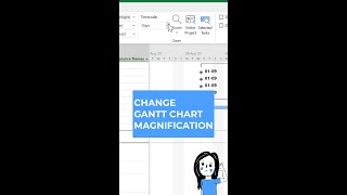 Change Magnification and set the zoom of Gantt Chart or timeline in MS Project (Microsoft Project)