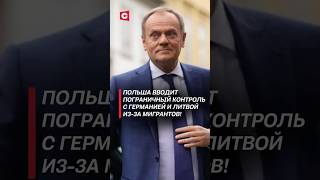 Польша вводит пограничный контроль с Германией и Литвой! #польша #германия #мигранты #беженцы