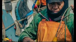  Shark Wars: Survival in the Deep & the Human Threat #shark #predator #viralvideo