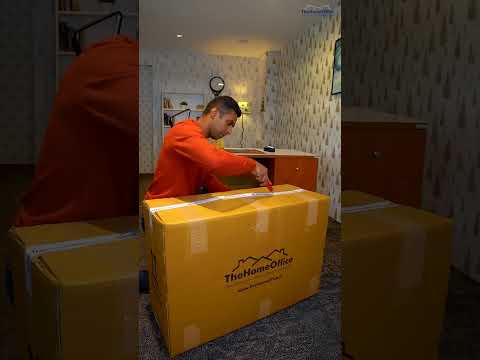 OXFORD chair for all your back problems | Ergonomics Chairs | TheHomeOffice