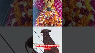 bala ji status #facebook #youtube #reels #instagram #status #share #bhajan #balaji #hanuman #fb