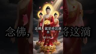 念佛 #佛學智慧 #正能量 #禅意生活 #阿彌陀佛 #佛陀  #佛 #人生感悟 #菩提解脫道 #修行  #佛法 #情感 #心灵感悟 #打坐 #开悟 #观世音菩萨 #心灵法门  #佛教