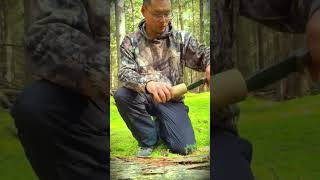 smart techniques for peeling tree bark in the forest #shorts