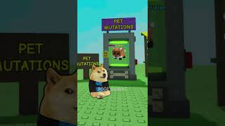 C00lkidd 🤯| Doge Gaming