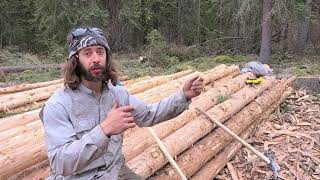 Building Off Grid Log Cabin: Alone In The Yukon Ep.2  Finally Im Ready To Build
