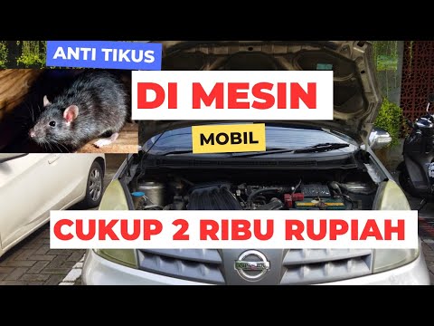 Biar Tikus Tidak Masuk kap Mesin Mobil