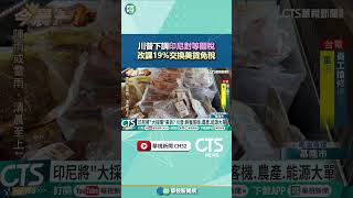 川普下調印尼對等關稅　改課19%交換美貨免稅｜華視新聞 20250716#shorts @CtsTw