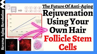 The Future of Anti-Aging Is HERE? The FIRST Non-Invasive Way To Rejuvenate Using YOUR Own Stem Cells