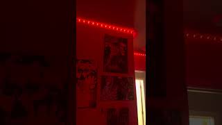 Vibrant room lights that don't peel off! #rgblights #ledlights #rgb