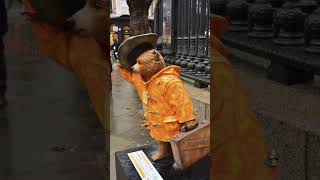 Paddington Bear in London 😍🧸 #paddington #london #england #shorts #unitedkingdom #iconicmoment