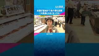 「なにもかも上がっている…」「大衆魚じゃない」水揚げ量減少で魚介類も高騰　サバ缶詰の生産停止も　#shorts #読売テレビニュース