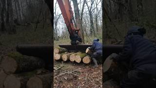 So heavy 🤭 #forest #woodfarm #homestead #woodslife #firewood #wood #forestrylife