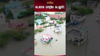 கடலாக மாறிய கடலூர்! #fengalcyclone #cuddalore #heavyrain #shorts #newstamil24x7