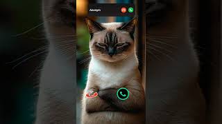 #call #iphone #ringtone #smartphone #ringtones #cat #tech #innovation #iphone15 #mobiletech