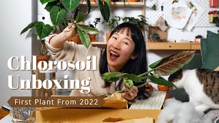 My first plants of 2022 | Wishlist Plant Haul | Unboxing Imported Plants from Indonesia (Chlorosoil)