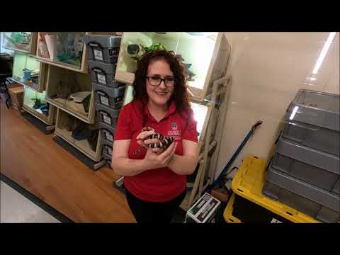Gail Westcott, Mary Kahrs Warnell Forest Education