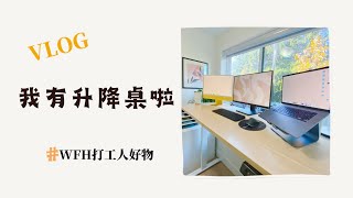 Home Office|🇨🇦居家办公升降桌|我的书房