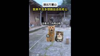 第1集 | 逃出万重山......#catmemes #cat #catlover #小说 #故事 #短剧 #story #catmeme #家庭 #探险 #冒险 #犯罪 #推文 #一口气看完