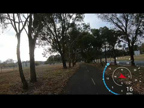Spotting a kangaroo while cycling, in Charnwood, Canberra, Australia