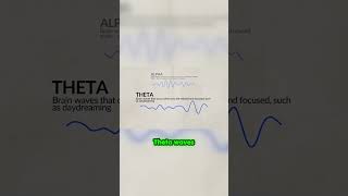 Discover the Secrets of Your Brain Waves!