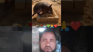 Qabar Ka Biju 🤲🥀🕋💚#hindi #urdu#islamic#viralvideo #funny #qabar #shorts#viralshorts #indian🌙💎