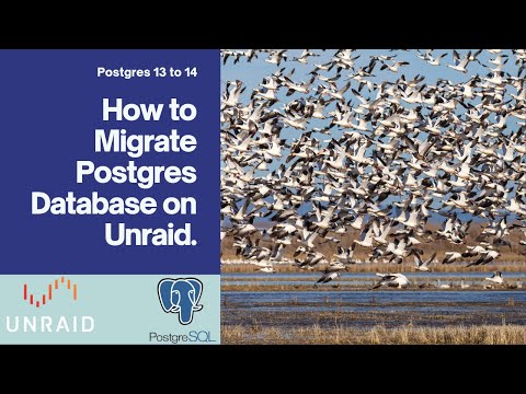 How to Migrate Postgres on Unraid