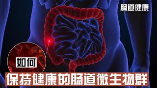 肠道健康：如何保持健康的肠道微生物群@168Health