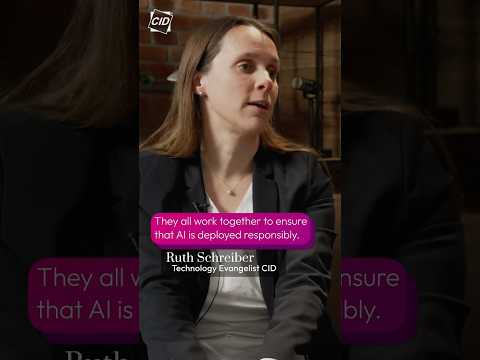 The EU AI Act 🇪🇺