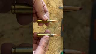 308 vs 6.5 Creedmoor: What would you choose? ￼
